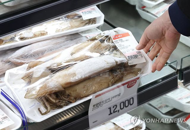 고공행진 하는 오징어 가격