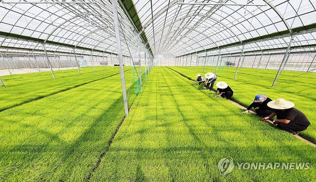 모내기 준비로 분주한 농촌