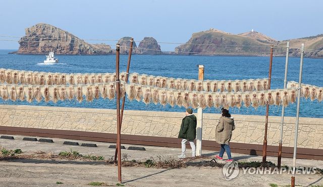 오징어 말리는 풍경