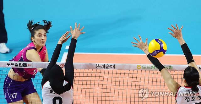 공격하는 투트쿠