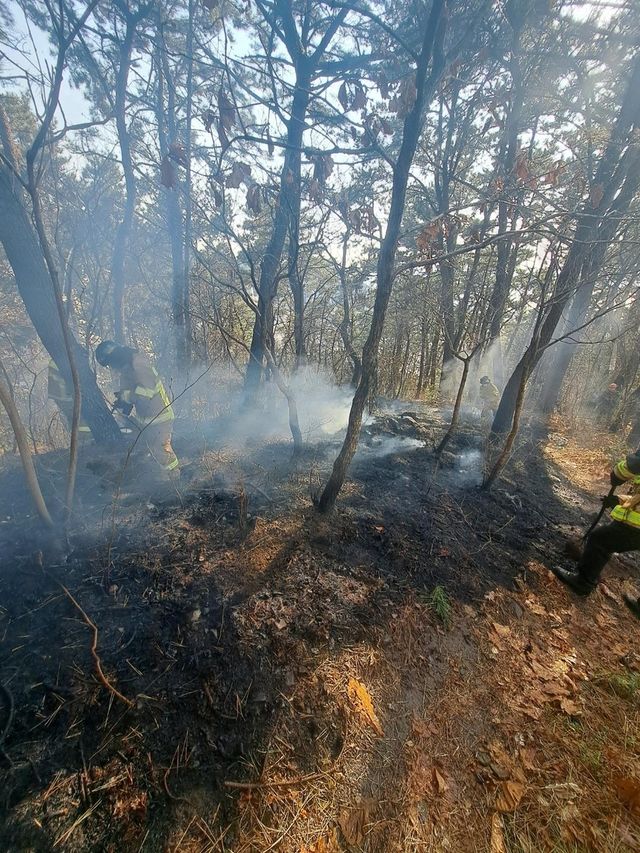 산불 진화하는 소방대원