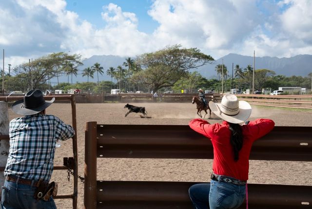 '캐프 로핑' 경기가 열린 쿠알로아 랜치 [사진/성연재 기자]