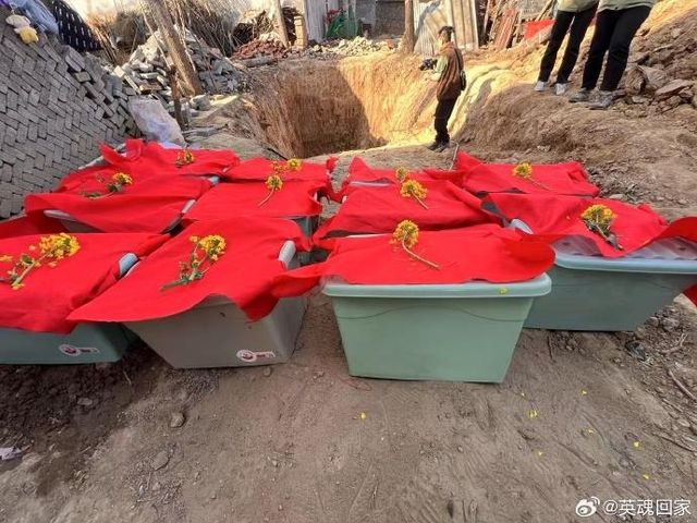 중국 허난성에서 발굴된 유해들