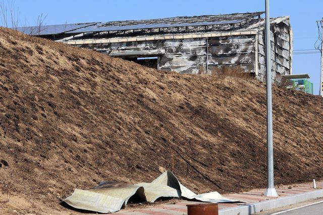 산불로 탄 영덕제2농공단지 내 공장 건물