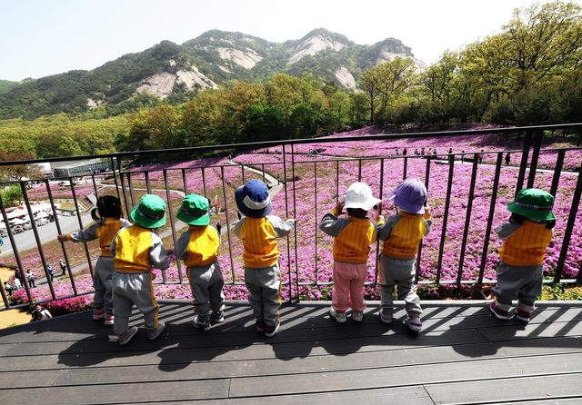 지난해 불암산 철쭉제