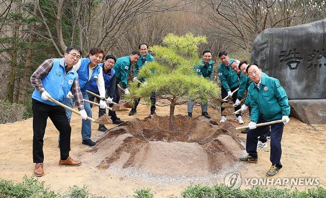 대전교육청 직원들 다 함께 나무 심기
