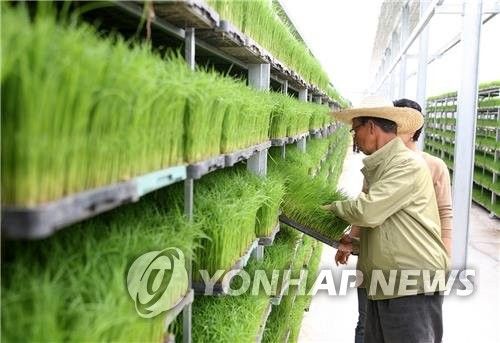 무주군 벼 육묘
