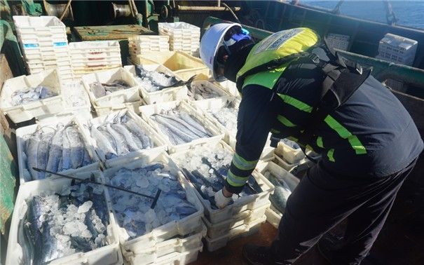 중국 어선 어획물 점검