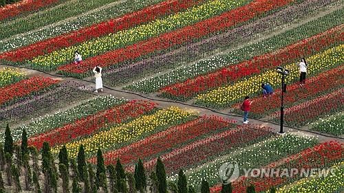 화려한 봄 혹은 초여름