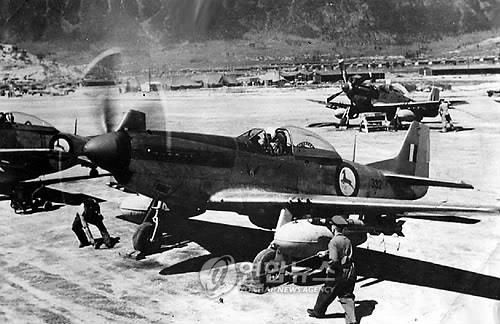 6·25전쟁에 참전한 남아공 공군의 무스탕 전투기