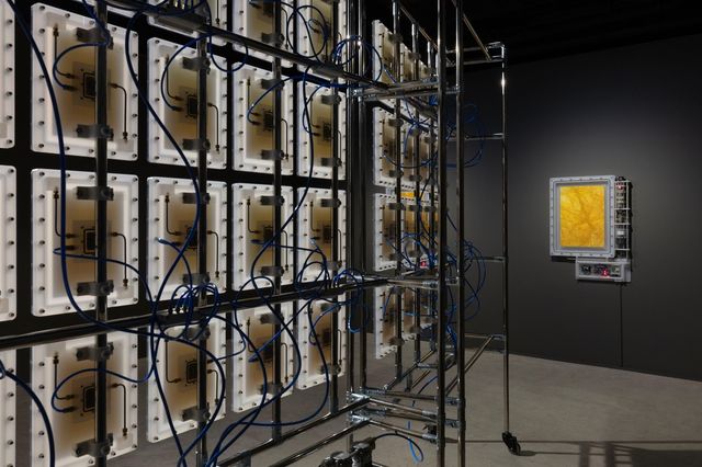 <is of 속리산 2024-4〉작품 뒷면 모습. 산소 유입을 막기 위한 기계 장치가 연결돼 있다,[아라리오뮤지엄 제공. 재판매 및 DB 금지]