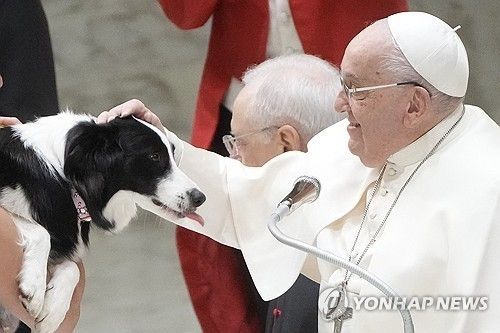 프란치스코 교황 