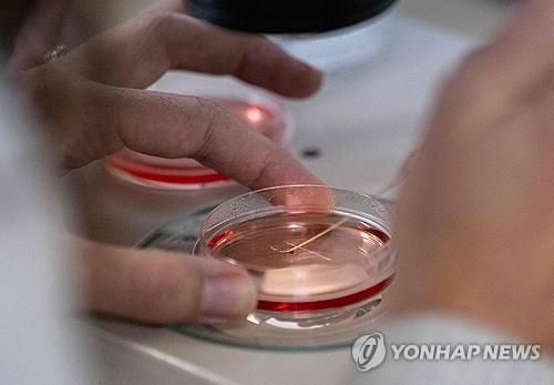 [AFP 연합뉴스 자료사진. 재판매 및 DB 금지]