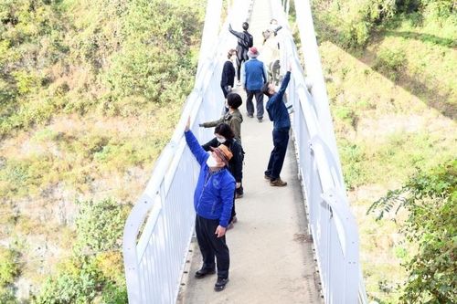 광주 남구 제석산 구름다리