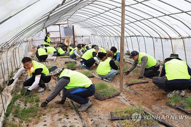 농협상호금융, 농촌 일손돕기