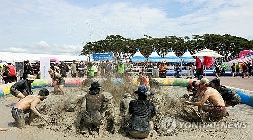 보령 머드축제