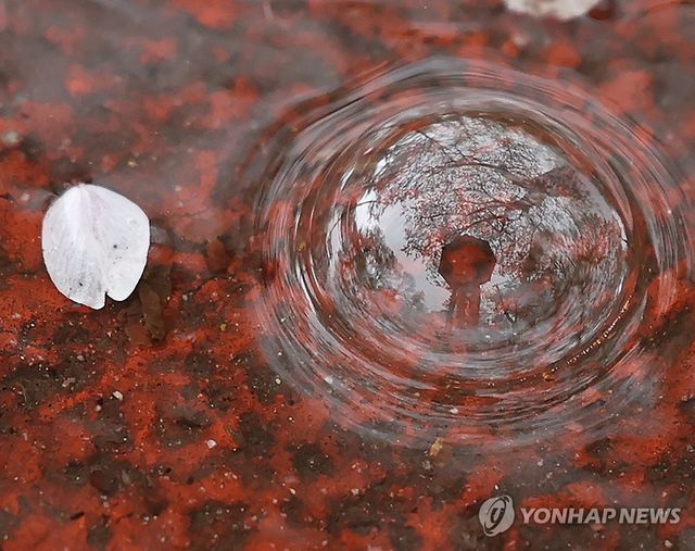 잘가 내년에 만나