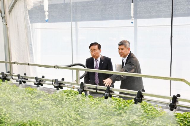 공동육묘장 둘러보는 김문근 군수