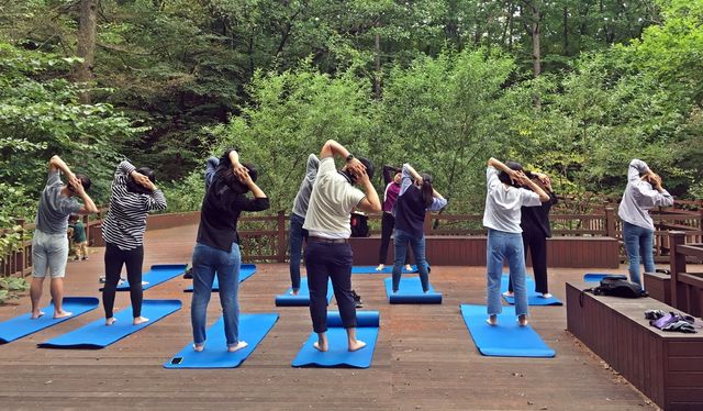 산림 치유 프로그램에 참여한 탐방객