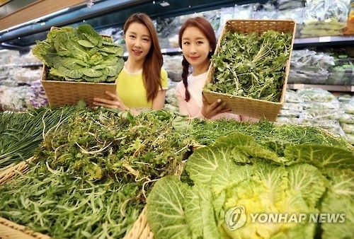 "겨울철 입맛 돋워줄 봄나물 어떠세요"