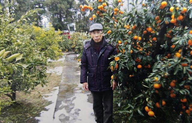 (서울=연합뉴스) 마을회관 지붕을 수리하다 추락해 뇌사 상태에 빠진 70대 남성이 3명에 생명을 나누고 하늘로 떠났다. 한국장기조직기증원은 지난달 24일 경북대학교병원에서 정대순(73·사진) 씨가 간과 양쪽 신장을 각각 3명에 기증하고 숨졌다고 22일 밝혔다. 2025.04.22. [한국장기조직기증원 제공. 재판매 및 DB 금지]