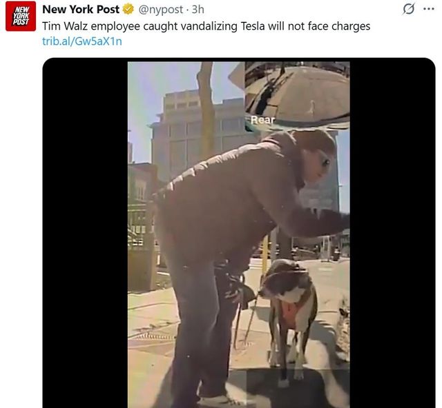 테슬라 차량 여러 대를 훼손한 남성이 기소되지 않는다고 보도한 뉴욕포스트 