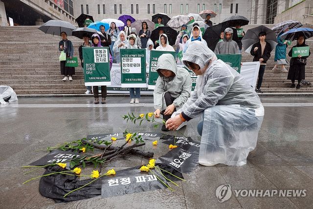 영남 산불에 불탄 나뭇가지 주변에 놓는 꽃