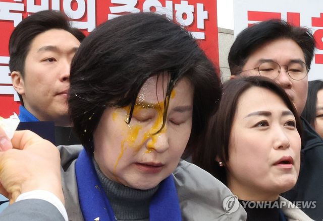 계란 봉변 당한 민주당 백혜련 의원