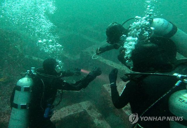 명지대 스킨스쿠버 동아리·PADI, 해양 정화 봉사활동 