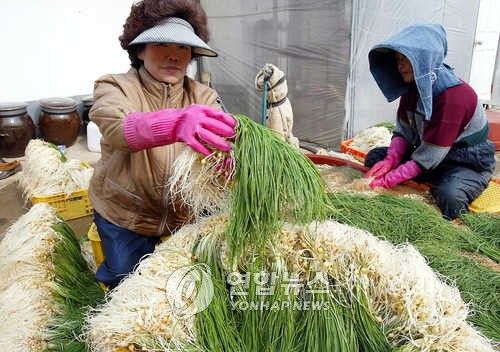 "입맛 돋우는 달래 드세요"