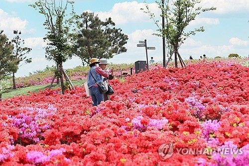 임실 붕어섬 생태공원