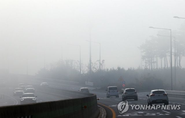 안개, 운전 조심