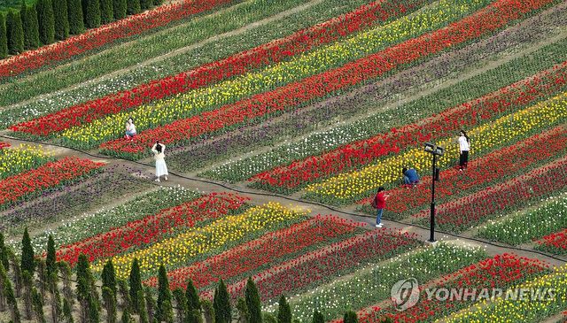 화려한 봄 혹은 초여름