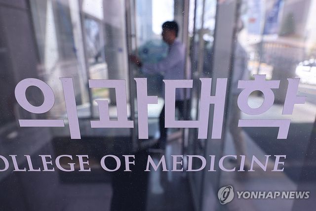 (서울=연합뉴스) 서대연 기자 [연합뉴스 자료사진]