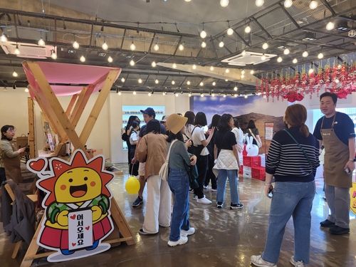 관광 명소 경주 황리단길 '울주 팝업홍보관' 호응