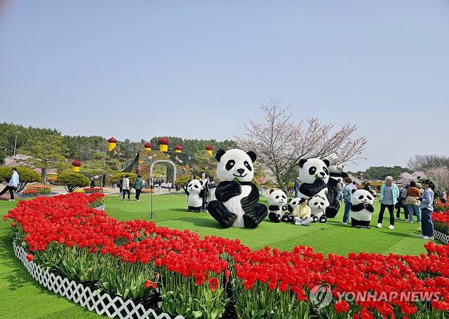 태안 세계튤립꽃박람회장 현장
