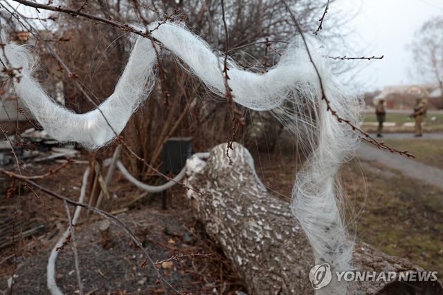 쿠르스크 수자 외곽의 나무에 걸려 있는 광케이블 뭉치