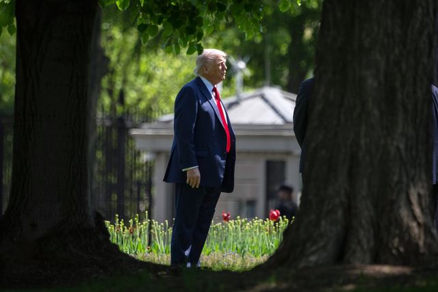 도널드 트럼프 미국 대통령