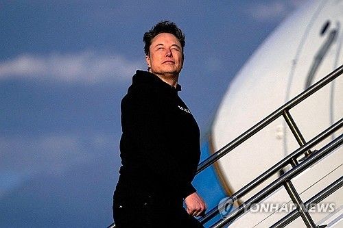 일론 머스크 테슬라 최고경영자(CEO)