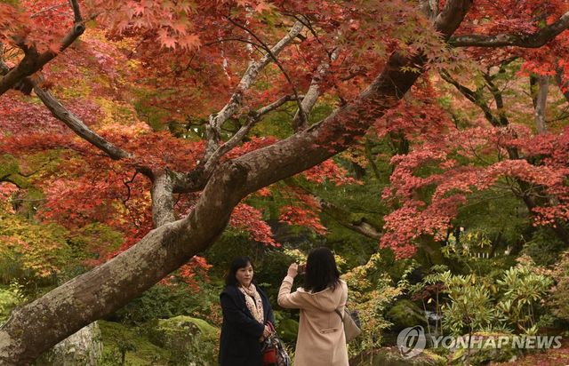 일본 교토 단풍