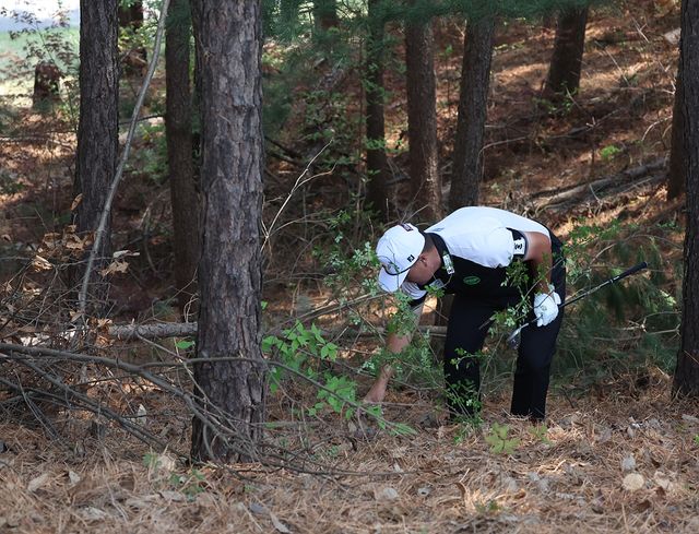 숲에서 공을 찾는 임성재.
