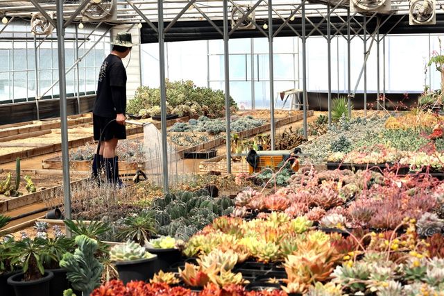 청년농업인 대상 수상한 사계농원 노광명씨