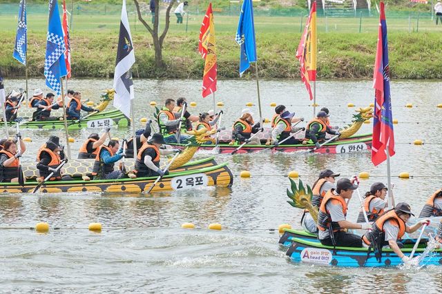 노젓기 대회 모습