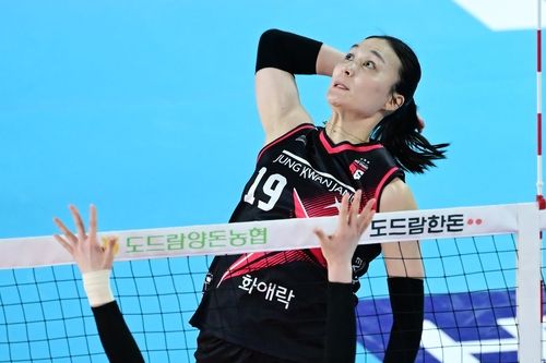 공격하는 정관장의 표승주