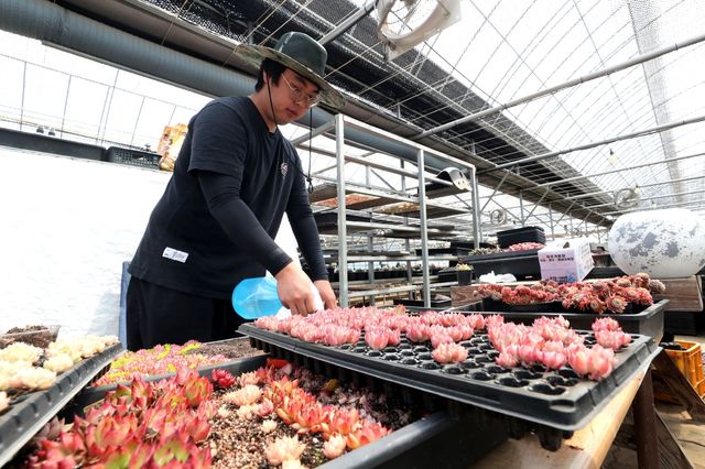 청년농업인대상 수상한 사계농원 노광명씨