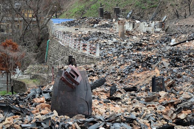 화마가 휩쓸고 간 고운사