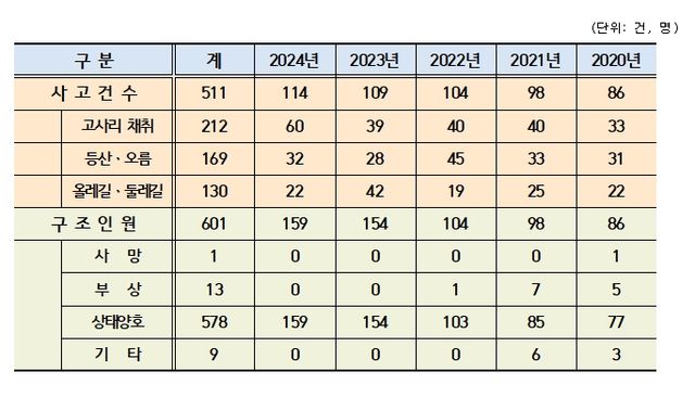 최근 5년간 길 잃음 사고 통계