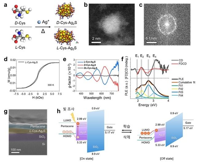 카이랄 은황화물 양자점 합성 
