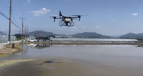 벼 직파재배 시연회