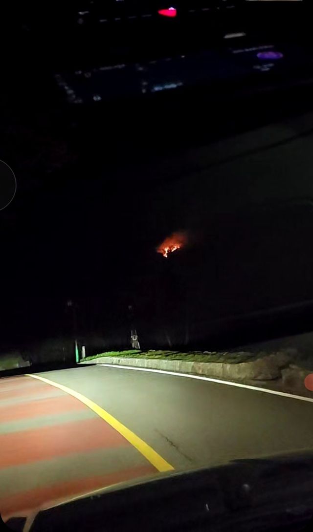 산불 현장 당시 모습